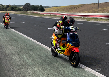 Piaggio Zip SP UFFICIALE TROFEI MALOSSI 2026