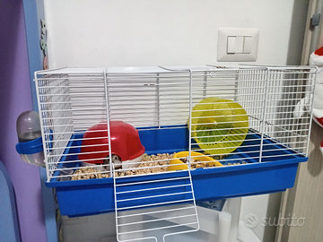Criceto+ gabbia completa