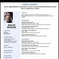 Chi offre lavoro?