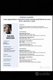 Chi offre lavoro?