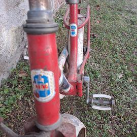 bicicletta Maino
