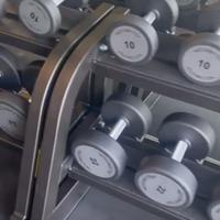manubri dumbbell technogym