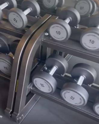 manubri dumbbell technogym
