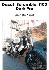 Ducati Scrambler 1100
