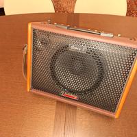 GIPSY 8 Amplificatore portatile per chitarra/voce
