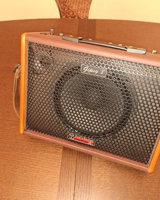 GIPSY 8 Amplificatore portatile per chitarra/voce
