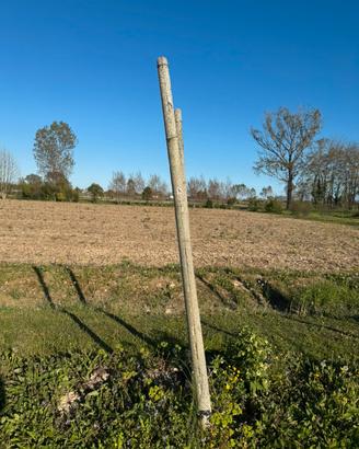 Pali di cemento GRATIS