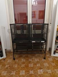 gabbia per uccelli e pappagalli