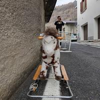 cavallino gioco vecchio 