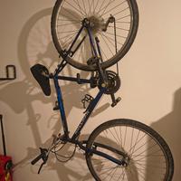 bicicletta da ragazzo