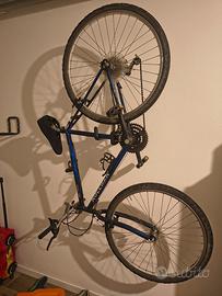 bicicletta da ragazzo