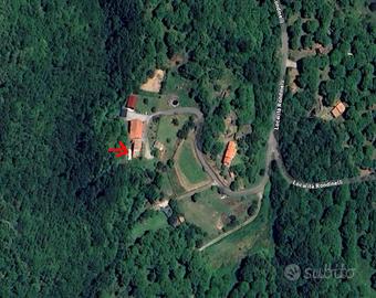 Appartamento - Arcidosso