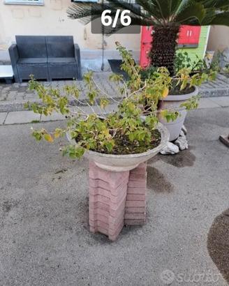  vaso in cemento con mattoni