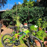 Mountain-bike Bici da bambino ragazzo