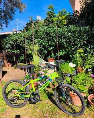 Mountain-bike Bici da bambino ragazzo