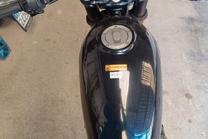 Benelli leoncino Trail 500