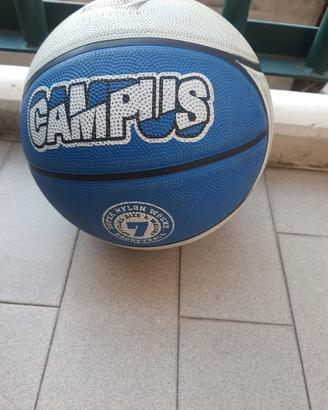 Palla da Basket