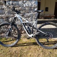 Specialized Enduro Expert 29 Carbon