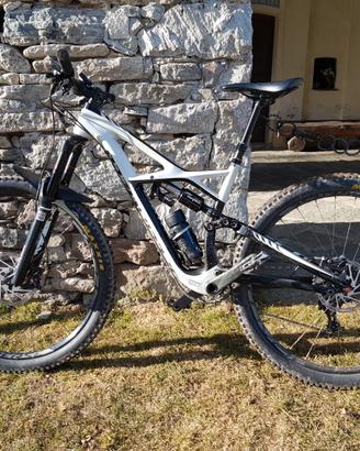 Specialized Enduro Expert 29 Carbon