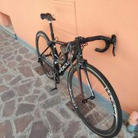 Focus izalco max tg xs