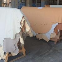 stock di Vera Pelle - pelli intere