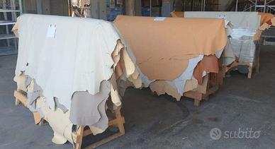 stock di Vera Pelle - pelli intere