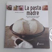 Pasta madre