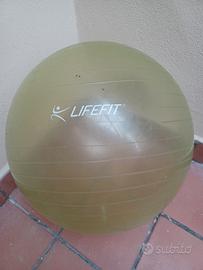 Fit Ball diametro 50cm