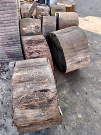 Pino  in rotoloni per fioriere