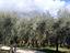 Immagine 8
