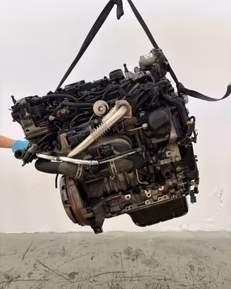 Motore XVJD Ford Ecosport 1.5tdci