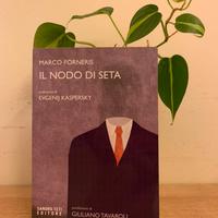 Il nodo di seta