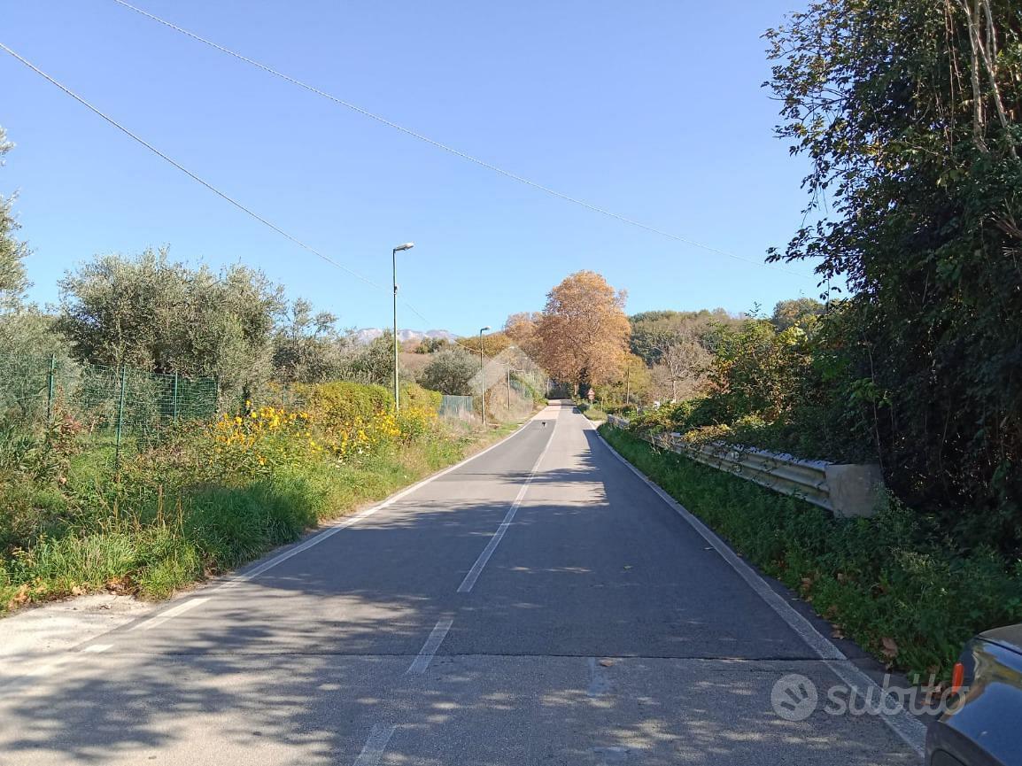 TER. AGRICOLO A SAN POTITO ULTRA - Vista 5