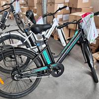 Bicicletta elettrica