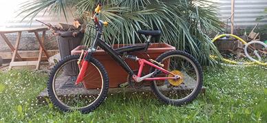 Bicicletta con cambio