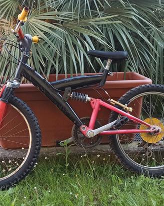 Bicicletta con cambio