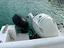 Immagine 4