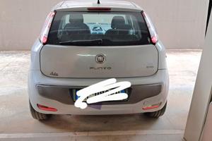 punto evo 