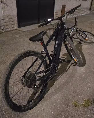 Bici elettrica