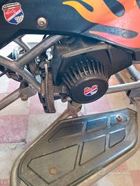Quad 50