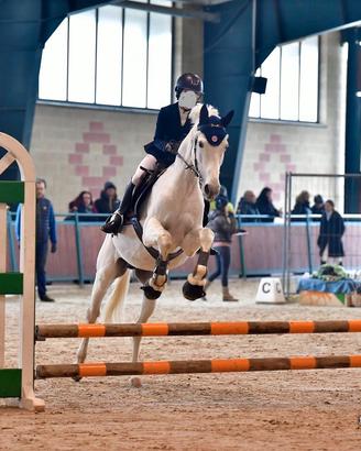 Cavallo salto ostacoli 2015 - fino a 115 cm