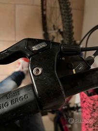 Mountain bike bicicletta Colnago