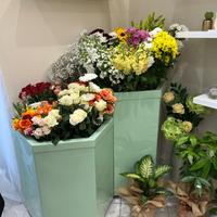 Fior d’acqua modello Leonardo