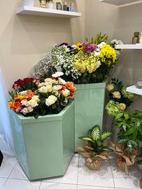 Fior d’acqua modello Leonardo