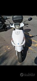 puaggio zip 2013 