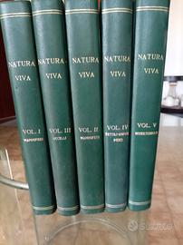 enciclopedia complete