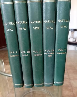 enciclopedia complete