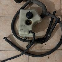 Vaschetta acqua panda
