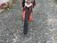 Immagine 1