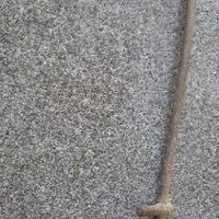 FALCE ANTICA DEL 1800